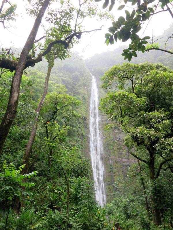 Waimoku Falls - Pipiwai Trail on Maui