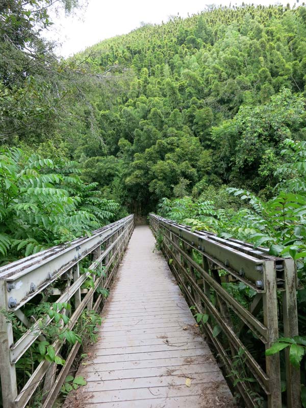 Hiking the Pipiwai Trail on Maui - Road to Hana