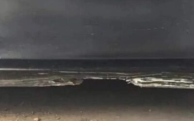 Do You See a Beach or a Bumper? The Maui Mindset at Work!