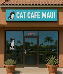 The Purrfect Stop