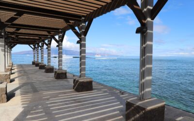 Lahaina Harbor Reopens for Limited Commercial Boat Operations — A Positive Step Forward! 