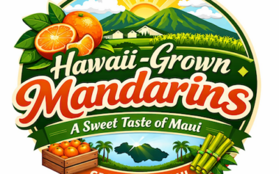 A Sweet Milestone on Maui: Hawaii-Grown Mandarins Make Their Debut