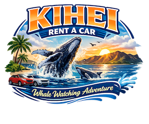 Maui Led the Way in January Whale Sightings